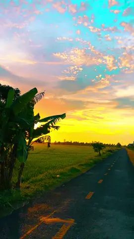 Hậu Giang mảnh đất ân tình #xuhuong #haugiang #vithanh #95 