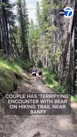 A couple had a frighteningly close encounter with a bear while walking a trail with their dog just outside of Banff, Alberta, on Sunday, July 19. Washington resident Brook Koski told Storyful that her husband, Kraig, initially encountered the bear on his own while jogging ahead of Brook on the trail. This footage, filmed by Brook, shows the bear slowly following Kraig as he walked away backwards, facing the bear, along with their dog Lola. “Kraig, you’re too close!” Brook yells in the video. “What are we going to do? We have to get off the trail.” The couple were eventually able to scare the bear back into the woods, but Brook told Storyful the encounter left her feeling “terrified.”