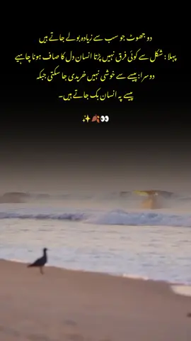 #urdupoetry #goviral  #tiktok #fyp #unfrezzmyaccount 