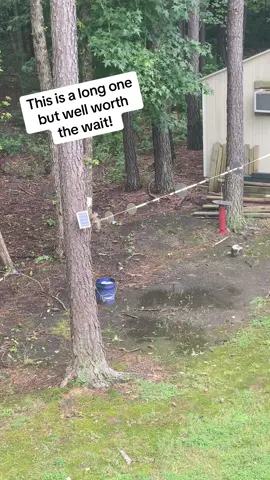 Nice try but next time try harder! 😂 #squirrellwarone #birdfeeder #winning 