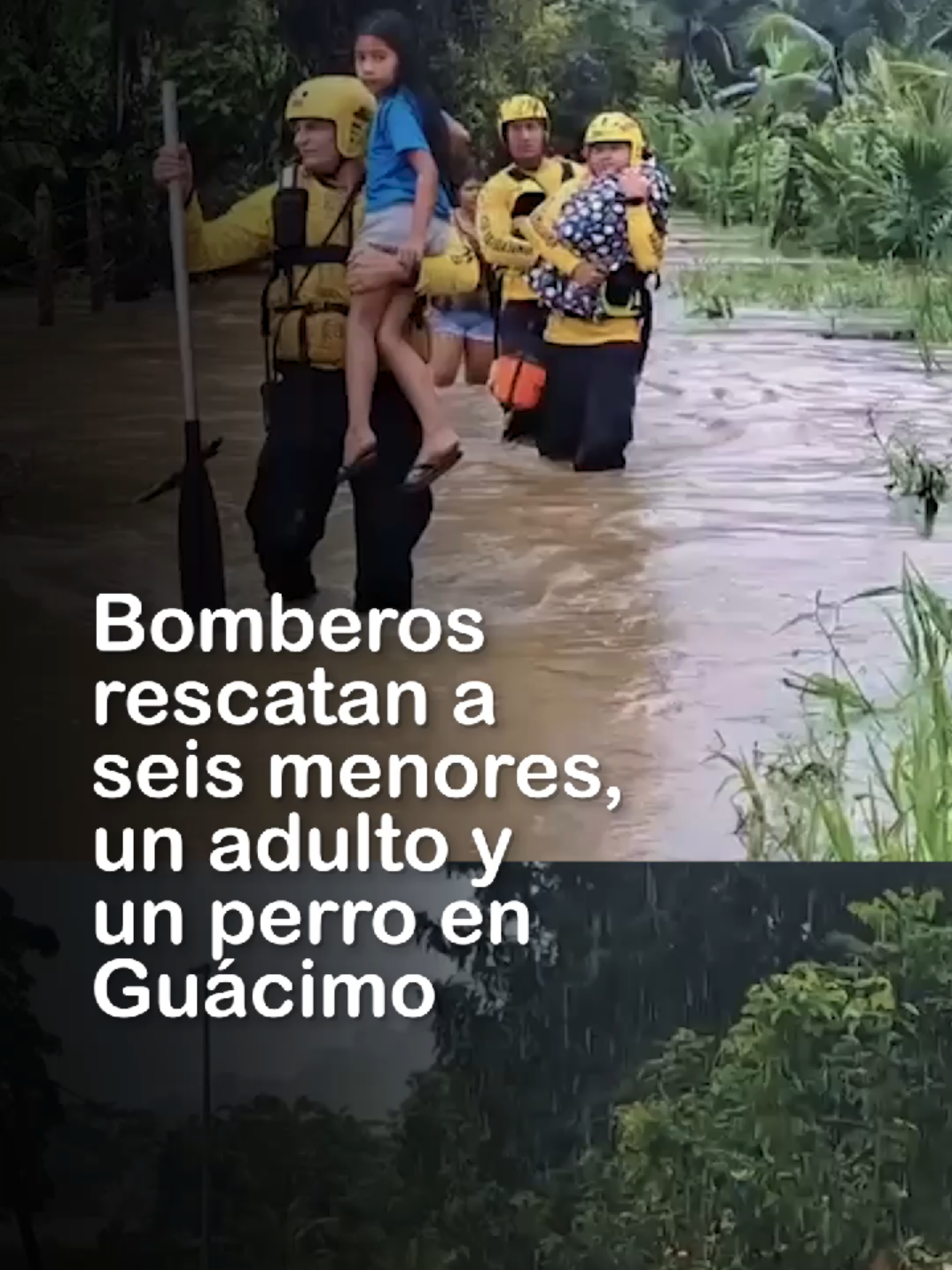 Bomberos rescatan a seis menores, un adulto y un perro en Guácimo. Más información en Teletica.com. 📲