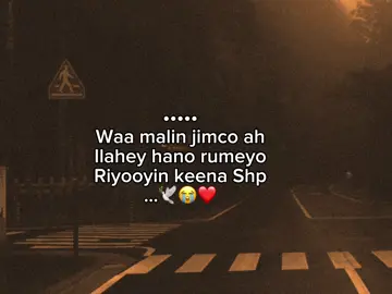 Aamin 🤲🏻😭❤️#fypシ゚viral #somalitiktok #viralvideo 