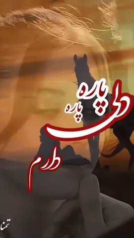 زخم‌هام رو دوست دارم چون‌...  یادم میندازن  هيچوقت تماشاگرِ زندگی نبودم تلاش کردم،  تجربه کردم،  اعتماد کردم،  دل بستم، ریسک کردم،  باختم و..‌  یاد گرفتم.