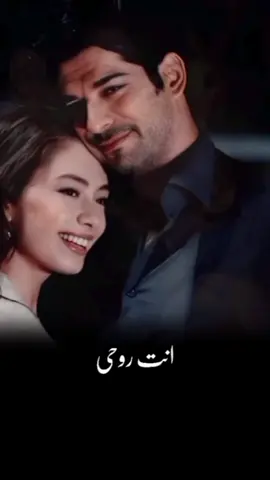 #انت_روحى_وكل_عمرى_ام_كلثوم🌹♥️💙  #كوكب_الشرق_ام_كلثوم  #كمال_نيهان_حب_اعمى_مسلسل_تركيا  #تصميم_فيديوهات🎶🎤🎬 #اغاني_رومانسيه❤️ 
