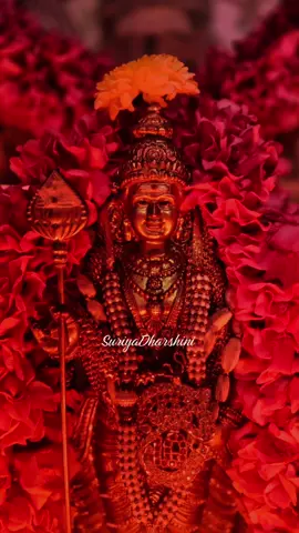 Velayuthar 🔱🔥•🦚
