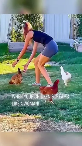 Funny pet compilation 🤣 #pet #cat #dog #cute #animals #foryou #typ