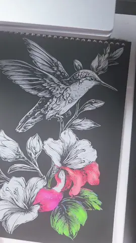 #sratchart #crafts #hummingbird 