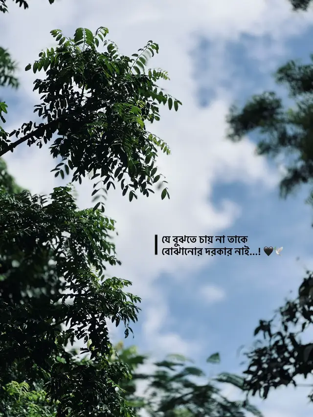 Part-201 যে বুঝতে চায় না তাকে বোঝানোর দরকার নাই...! 🖤🕊️ #fyp #CapCut #foryoupage #foryou #caption 