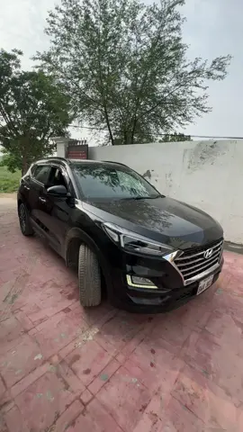 #SHAHZAD #videotiktokkocakplotiktok #trendingvideostiktok 