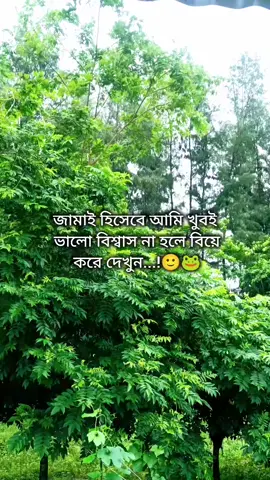 🙂🐸 . . . Maksudnya 