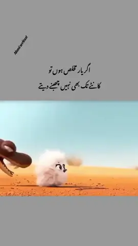 Ahmi writes ✍️ 