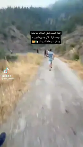 لهذا السبب تبقى الجزائر شامخة ومستقرة... لأن جذورها رُويت وسُقيت بدماء الشهداء. 🇩🇿🤲