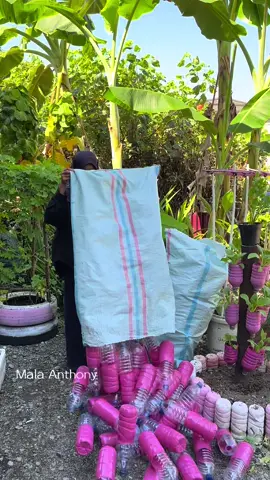 Membuat bedengan cantik dari botol bekas #garden #gardening #tanaman 