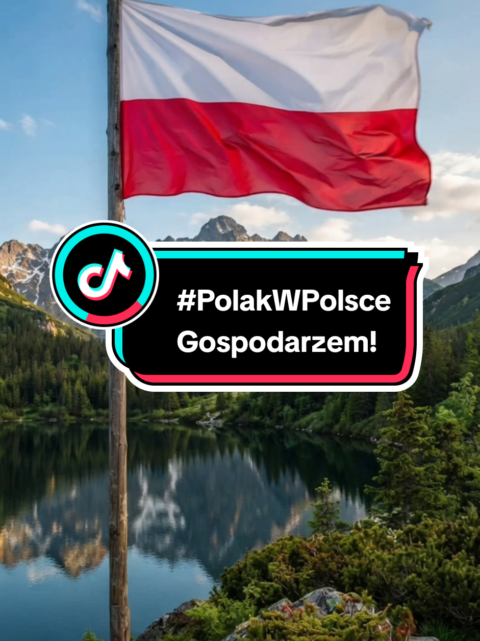 #fyp #kkp #braun #polska #polskitiktok 