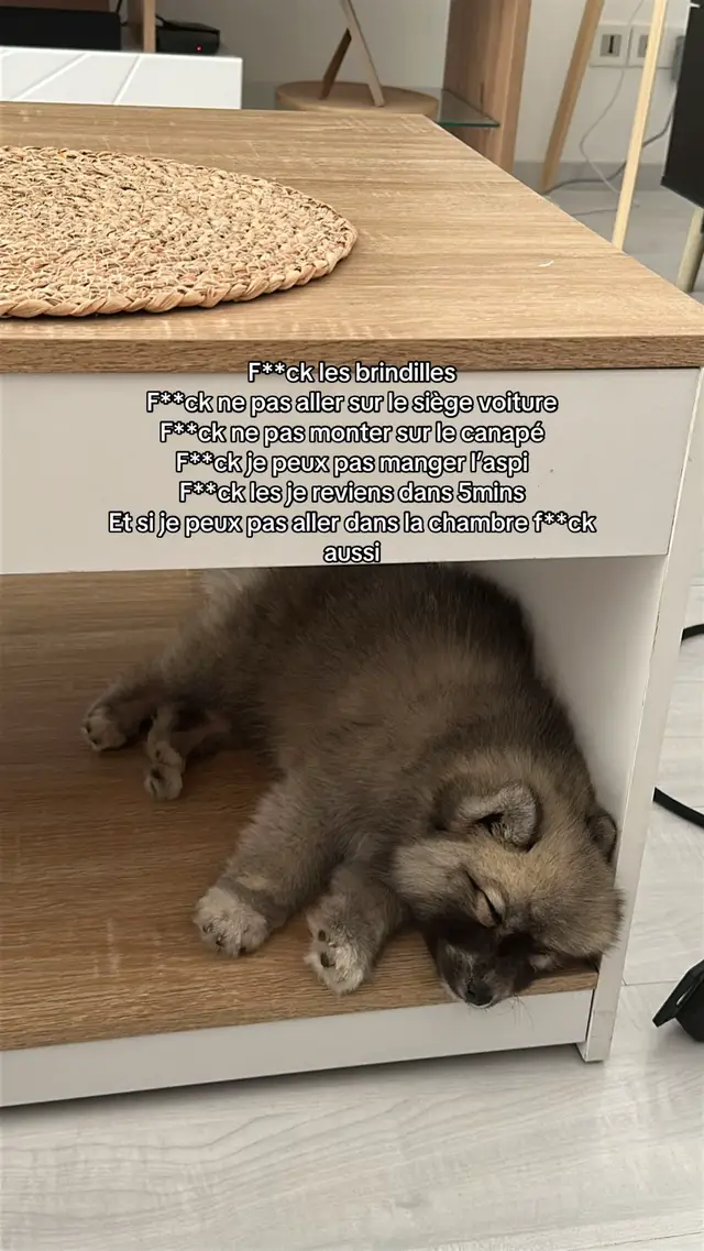 Trop compliqué la vie 