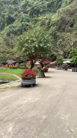 Bài hát một thời 8x… #🥰🥰🥰 #nghenhac 