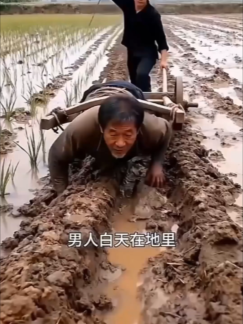 Ban ngày làm ruộng ban đêm trở về biệt thự tám nghìn mét vuông (b7527)