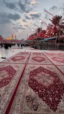 𝐁𝐞𝐜𝐡𝐚𝐢𝐧 𝐡𝐚𝐢 𝐝𝐢𝐥 𝐦𝐞𝐫𝐞 𝐦𝐨𝐮𝐥𝐚😭🫀🖤 . . #foryou #foryoupage #viral #noha #karbala 