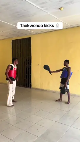 Taekwondo kicks combo  #kicks #taekwondo #martialarts #fyp 