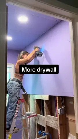 Let’s get some drywall hung up in this bathroom!!! #drywall #bathroomremodel #bathroomrenovation #moldprevention #homeremodeling 