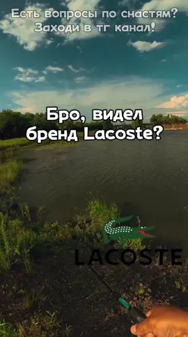 Рыбалка это жизнь #fishinglife #рыбалка #спининг #fishing #щука