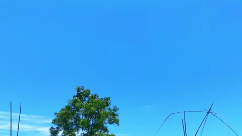সময়ে সাথে সাথে সব কিছু ই বদলে যায়, মানুষ তার স্মৃতির কাছে অসহায়...?❤️‍🩹🫠 #প্রকৃতি#foryou#viral#video#creatorsearchinsights 