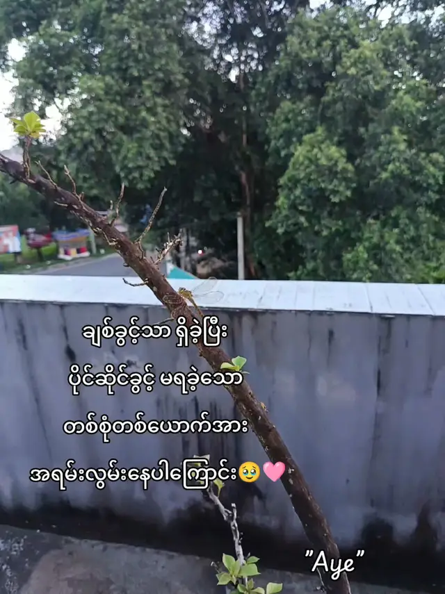 ပိုင်ဆိုင်ခွင့်မရသူအား လွမ်းနေပါကြောင်း🥹🩷