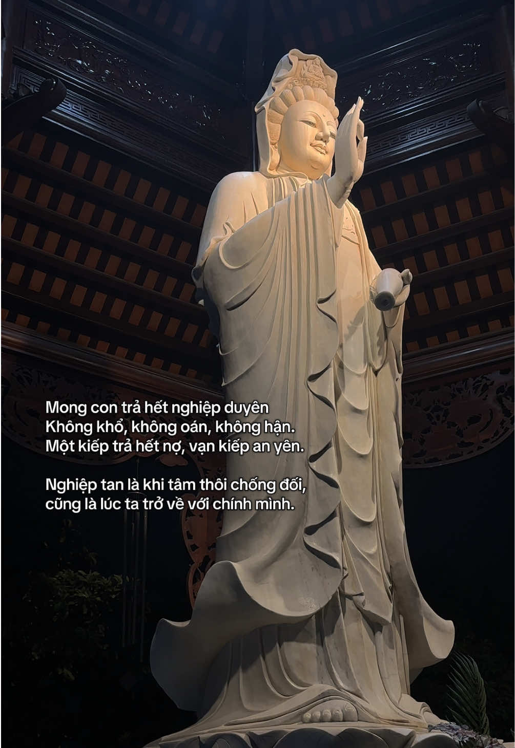 #ngoclan #phatphapnhiemmau #phatphap #viral #xuhuong 