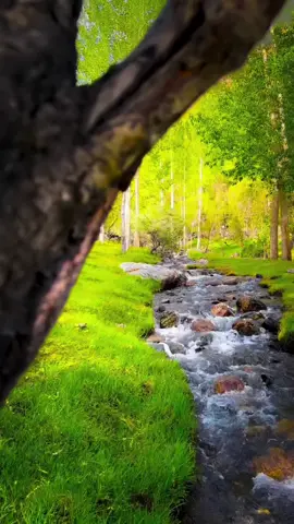 صدقه_جاريه #عامرالكاظمي  #القران #قران #fypシ゚_viral #switzerland @Tarza Salam @حيدر القطراني ✅ 