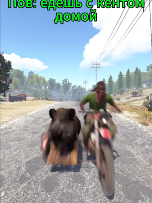 едеш домой с поцiками 😂 #rust #раст