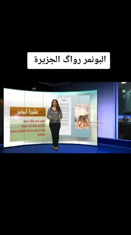 البونمر رقم الصعب بالانبار 🦅🤫  #البونمر_ارواگ_الجزيرة 🦅🔥
