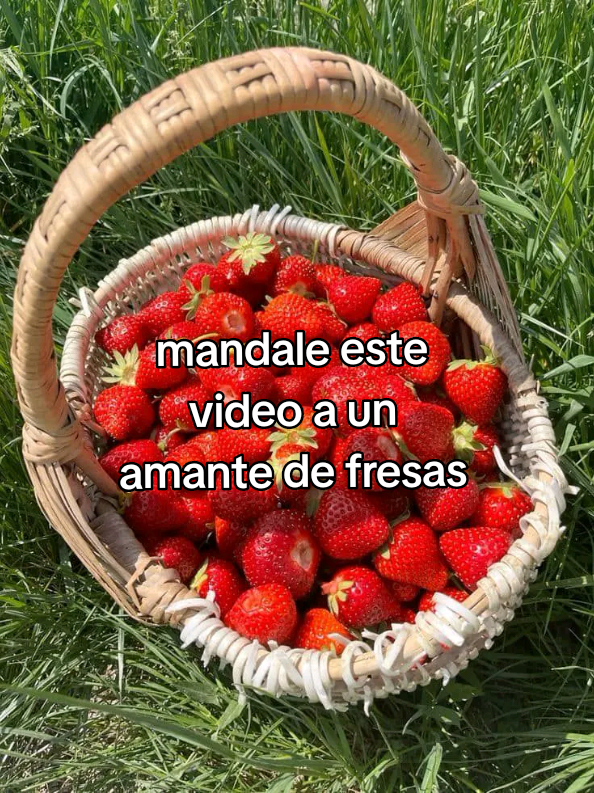 JAJAJA 🤣#gracioso #tiktok #noflopplease #fyp 