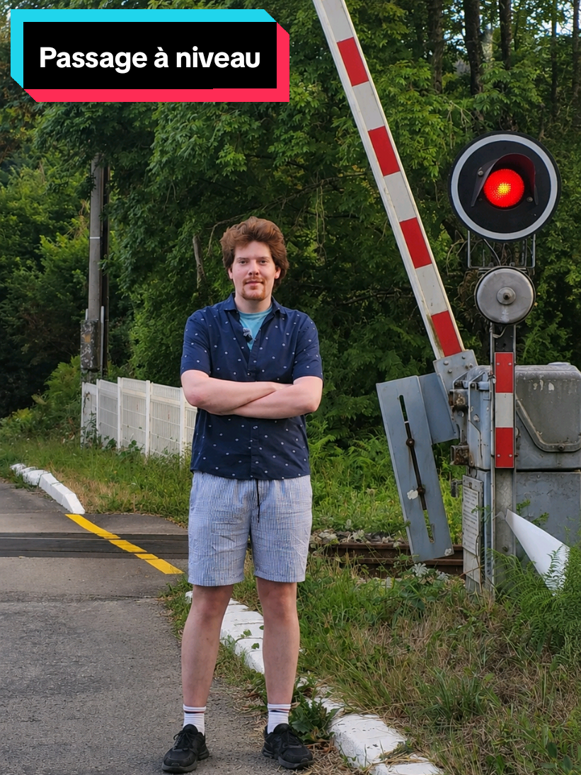 Si votre voiture est bloquée sur un passage à niveau, quittez immédiatement les voies. Les barrières sont conçues pour casser sous la poussée d'un véhicule en cas d'urgence... #voiture #automobile #train #securiteroutiere #rails 