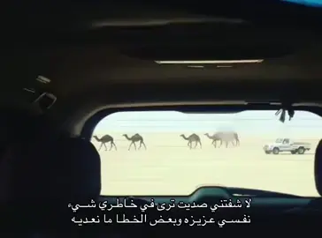 #اكسبلورexplore #الشعب_الصيني_ماله_حل😂😂 #قصايد #شعر #fypシ 
