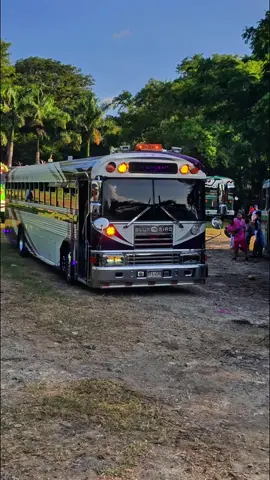 una d la HN🤍💜@Zona Dolby Turismo HN🚍  #paratiiiiiiiiiiiiiiiiiiiiiiiiiiiiiii #🚍bus❤️lover🚍 #busologos❤️✨🚌💨 #Pasión_x_los_buses🔰✅️🚍 #_flow_viral_🚍😎🇸🇻😎24kilates_🚍  @𝕾𝖕𝖎𝖉𝖊𝖗𝖒𝖆𝖓.𝕽🥷🦅 @🌴The_Alexander👻 @Anderson_sv🦅🥷🏼 @🚍Flores01🥷🏽⚡️ 