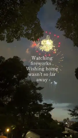 On my silent days, I just miss my hometown louder 💕#homesickness #japanlife #summernight #花火大会 