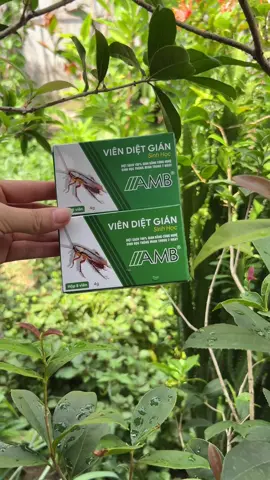 Viên diệt gián sinh học AMB #hằngtạphoá #viendietgian #viendietgiansinhhocamb #tiktokshop 