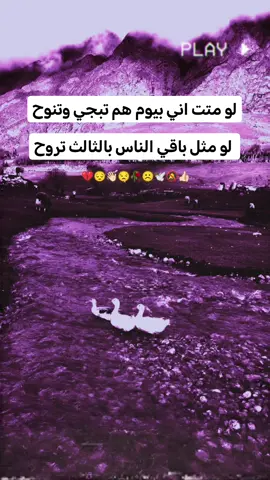 #صميم_فيديوهات🎶🎤🎬 #اكسبلور #ستوريات #زينہ♬🥺💔 #باراتكم_الفخمه📿📌 