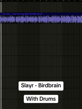 POV: if birdbrain by Slayr had drums #slayr #flstudio #prod #birdbrain #fyp 