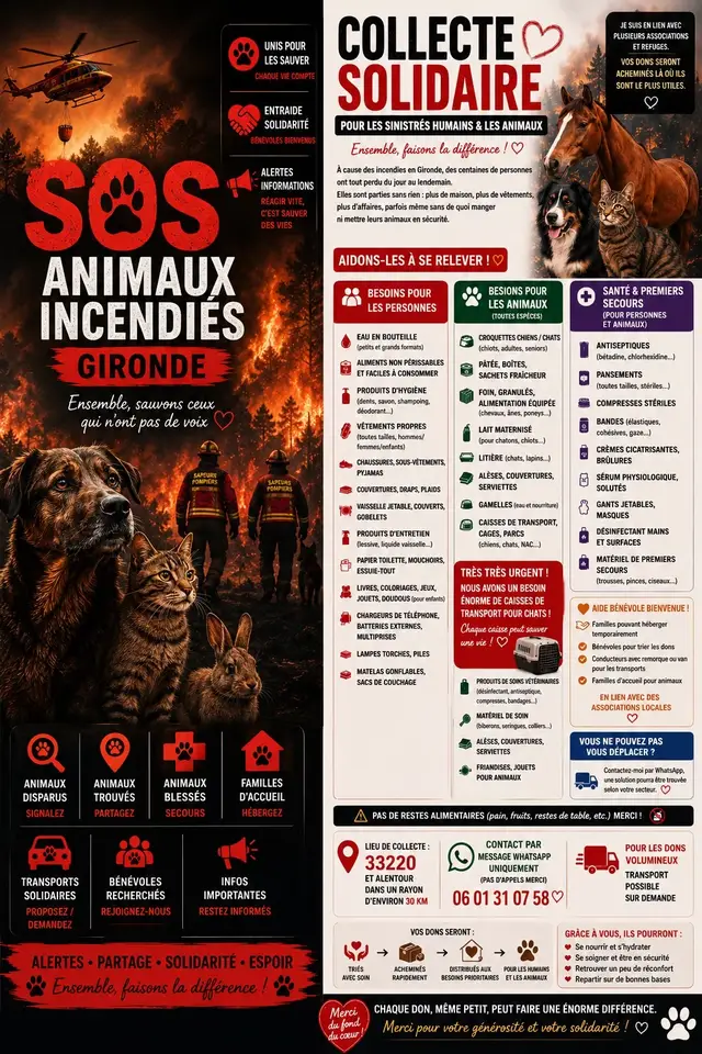 Les incendies ne détruisent pas seulement des hectares de forêt. Ils bouleversent des vies, arrachent des familles à leur quotidien et mettent des milliers d’animaux en danger. 💔 Chaque don, chaque partage et chaque geste de solidarité peut faire une réelle différence. Ensemble, soutenons les sinistrés, les bénévoles, les refuges et les pompiers qui se battent sans relâche pour protéger ce qui peut encore l’être. ❤️🙏 N’attendons pas qu’il soit trop tard. Partage cette publication pour toucher un maximum de personnes et montrer que la solidarité est plus forte que les flammes. 🧡🔥 #Incendies #Gironde #Solidarité #Pompiers #AnimauxEnDanger