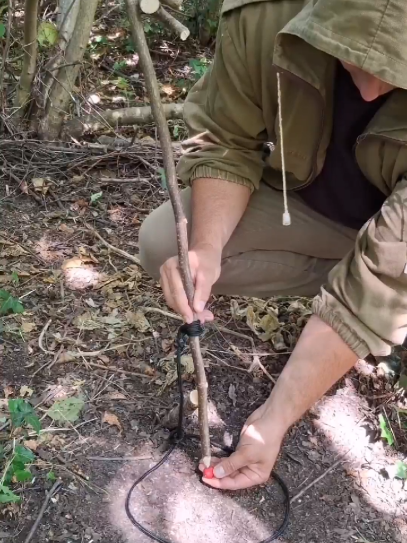 Trap #bushcraft #trap #bushcrafting #survival 