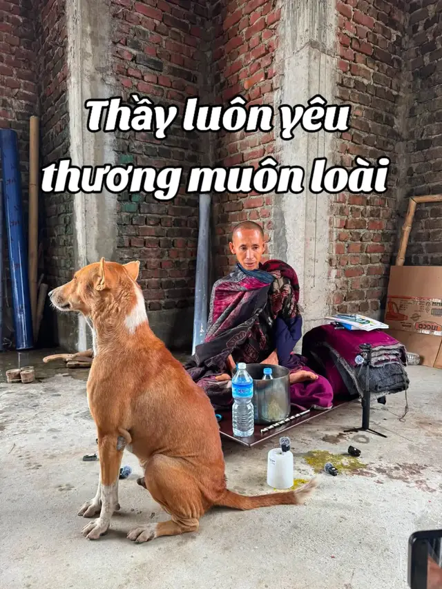 Thầy chúng con luôn yêu thương muôn loài. #xuhuongtiktok #tredingvideos #thayminhtue #thichminhtue #phatphapnhiemmau 