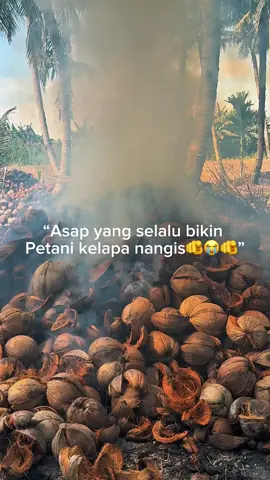 Siapa yg bisa tahan dengan asap yang satu ini😭#petani #petanimuda #petaniindonesia🇮🇩🇮🇩🇮🇩🌿🌿 #petanimilenial #petanisukses 