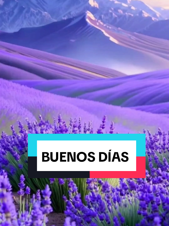 BUENOS DÍAS ¡Hoy será un gran día para todos!!! #buenosdias #parati #viraltiktok #alegria #fy 