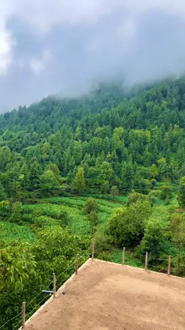 Akh Janan Da Watan Tirah valley ⛰️🌸 #tiktokgrowthchallenge #tirahvalley #foryoupage #watan #viralvideo 