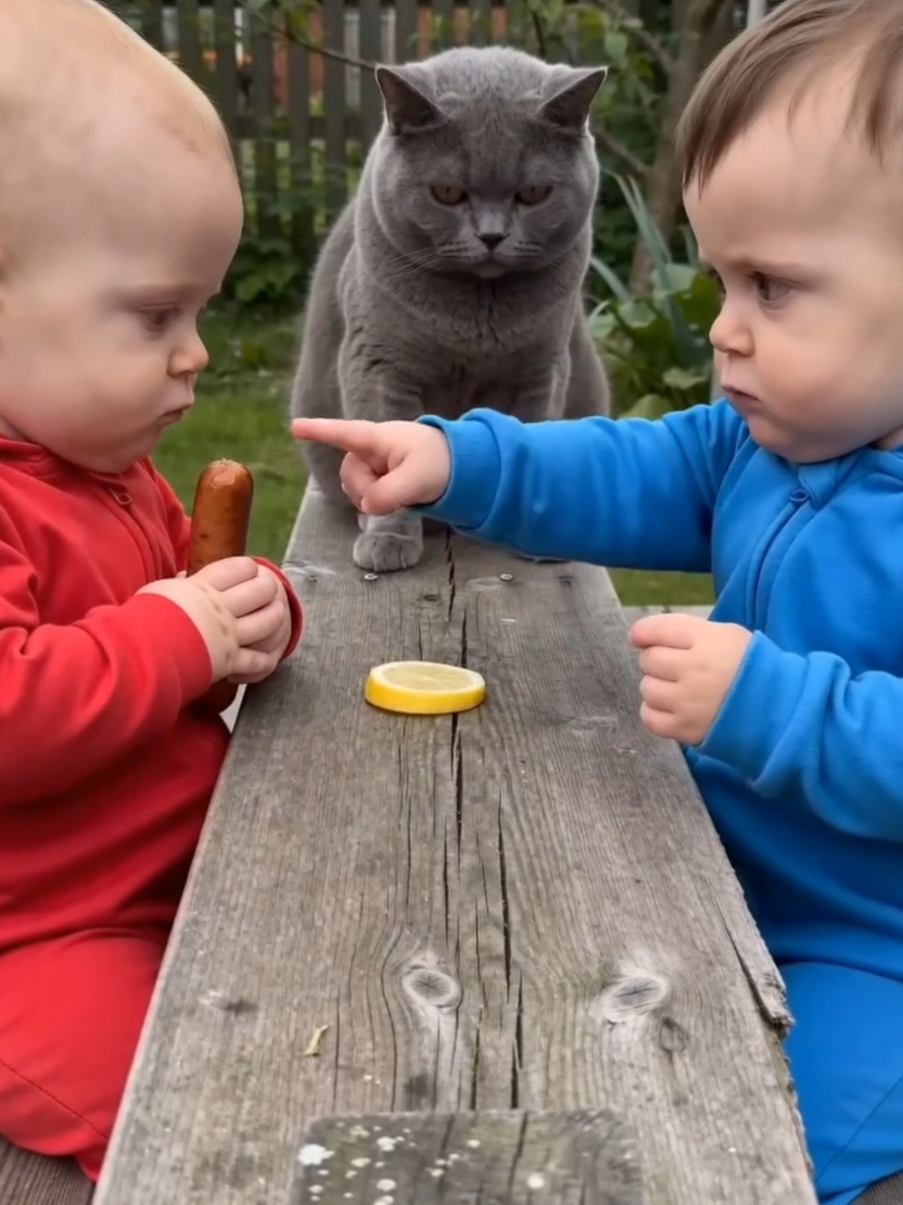 High-level negotiations between brothers #fyp #viral #funny #baby #comedy 