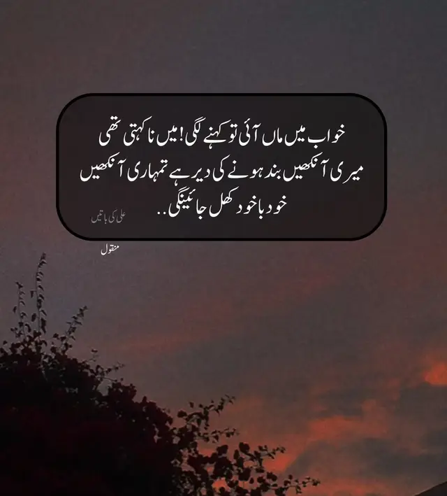 #twolineshayari #poetry #novelshort #sadpoetry 