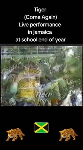 #fyp #foryou #trending #Tiger (Come Again) #Live in jamaica school end of year 