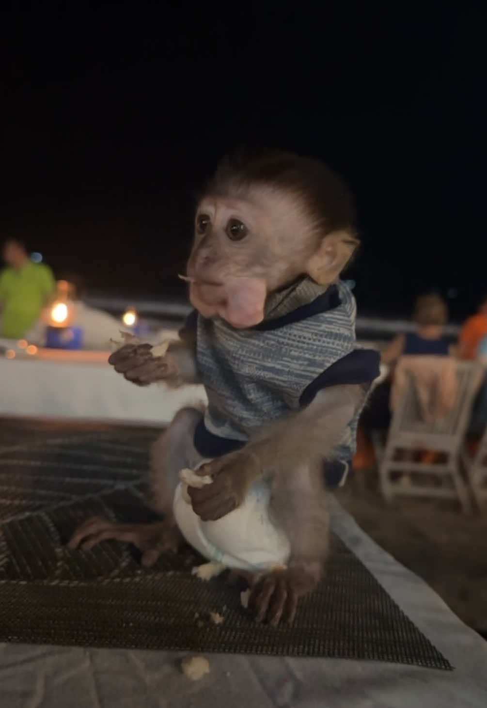 Abu monkey dinner wkwk