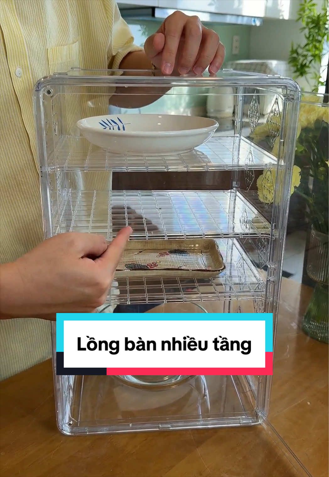 #longban5tang #longban #nhapesu #quảngcáo 
